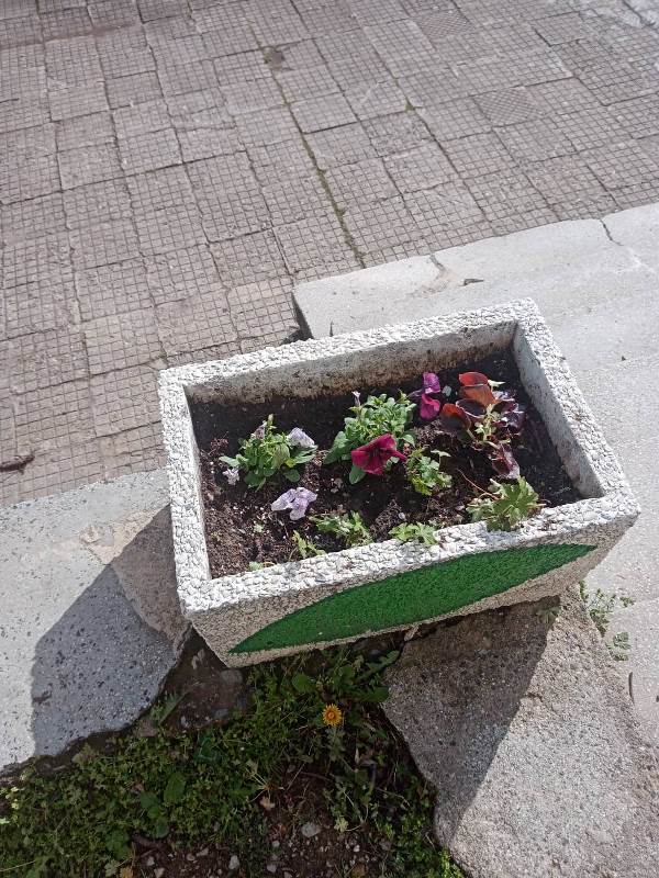 planeta-