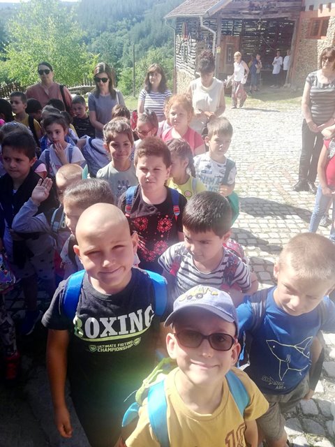 selce-
