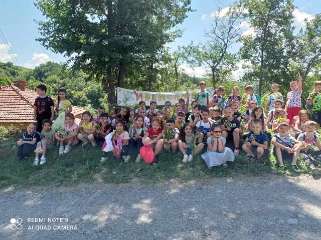selce-